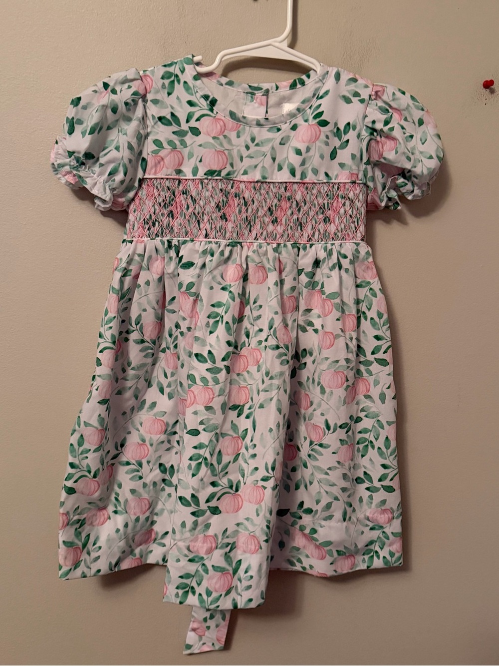 Eliza James Green and Pink Floral Smocked Pumpkin Dress